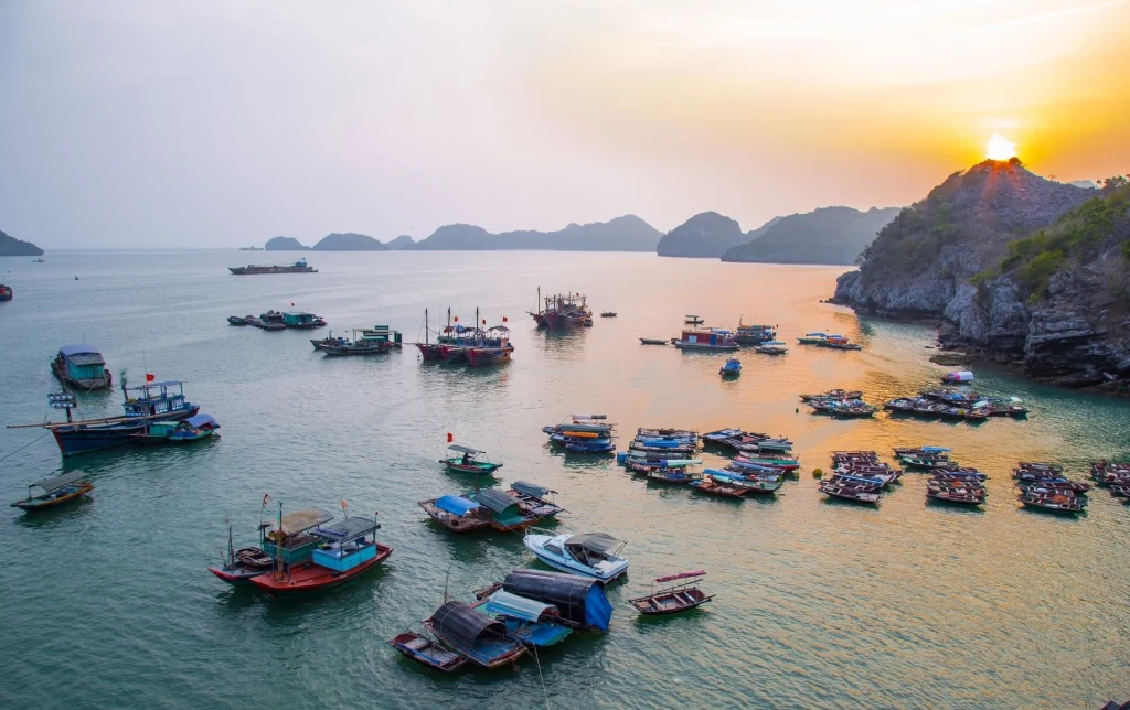 Vinh lan ha dao ngoc o cat ba 1648981592